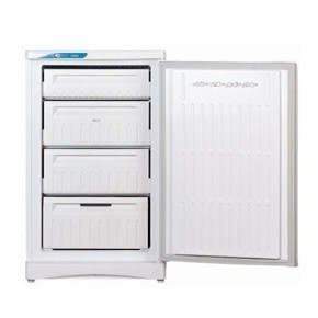 Indesit SFR 100