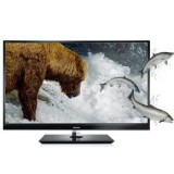 3D LED-телевизор Toshiba 55WL863R